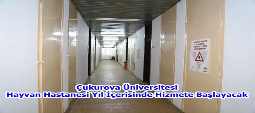 Çukurova Üniversitesi Hayvan Hastanesi Yıl İçerisinde Hizmete Başlayacak